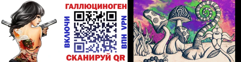 Купить где  Исилькуль  Псилоцибиновые грибы мицелий 